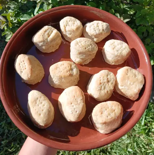 [BIS-SAL] Biscochitos Salados